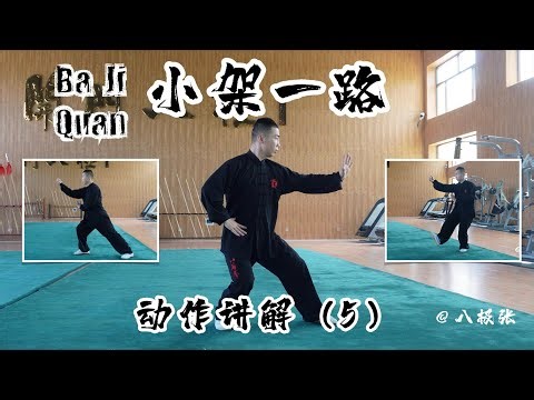 Baji Quan Beginner Breakdown5【Chinese Martial Arts/Kung Fu】Tutorial Session3 Form1: 八极拳教学 小架一路 动作讲解5
