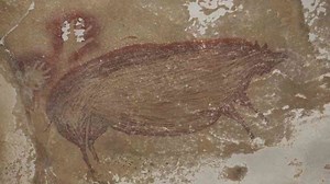 45,500-Year-Old Pig Painting Rewrites Human History