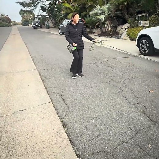 Puppy Parallel Walking