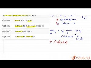 Under anaerobic conditions, denitrifying bacteria such as Pseudomonas could convert