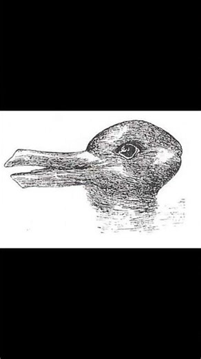 A RABBIT or A DUCK ! | ILLUSION | MALAYALAM