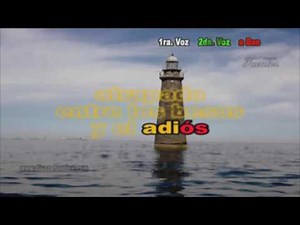 RICKY MARTIN - TU RECUERDO - KARAOKE