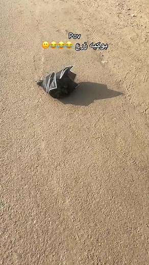 😂😂😂😂😂 | Today Meme's