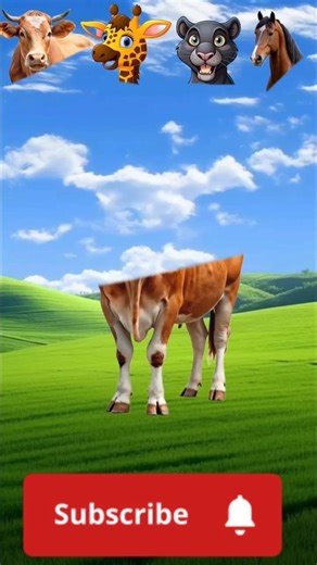 Bull with 4 Animal Heads-Unbelievable VFX Transformation!"#trending