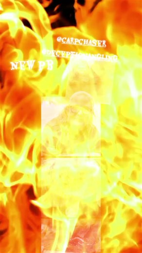 @carp chaser @Lee clifford @Bunnylad @greenergardenschester🐝🌱🌏