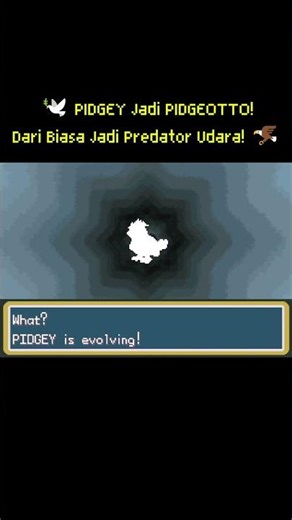 🕊️ PIDGEY ➜ PIDGEOTTO! ⚡ Evolusi Jadi Predator Udara! 🦅