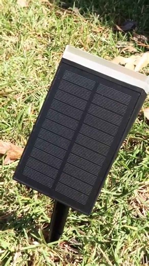 Transform your home with stunning landscape lighting for under $50