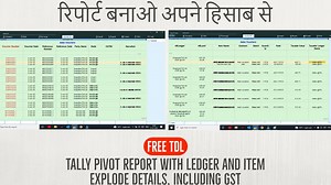 2022 Best Detailed Sale Summary with GST TDL | Tally Sales Report TDL for Pivot Table - Learnwell