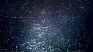 進化 Evolution 【BGM】