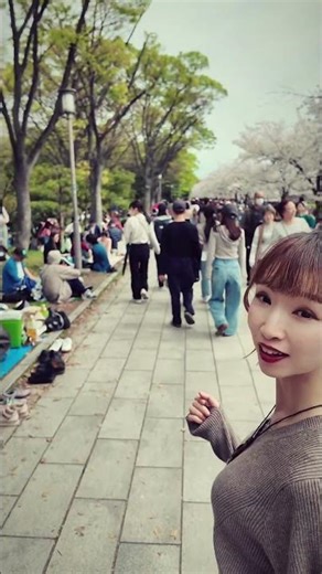 大阪城公園の桜#大阪城 #お花見 #大阪グルメ #大阪散歩