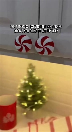 Christmas Knob Covers for Cabinets are HERE! 🎄 Christmas is just around the corner—spruce up your kitchen or bathroom with these adorable holiday-themed covers! Instantly add festive vibes to every corner of your home. Perfect for hiding plain knobs or adding a cute seasonal touch. Shop now before they’re gone! ✨#ChristmasDecor #ChristmasEssentials #HolidayHome | Romanceof=an