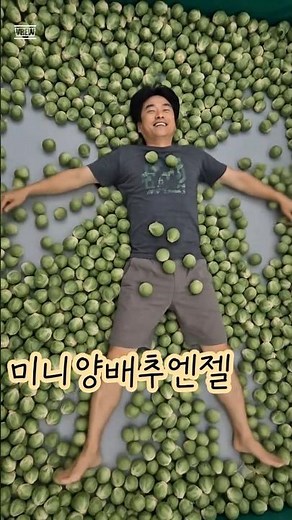 눈송이처럼 몸이 가벼워지는 그린팜의 미니 양배추. 잡써봐~~요^^