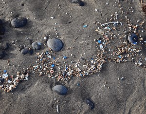 The Problem with Microplastics - Eco-Cycle