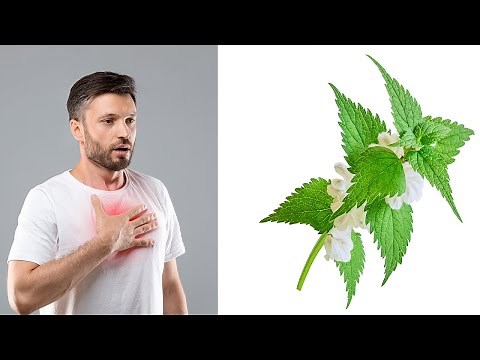 Asthma Erfolgreichste Heilmittel zur Heilung von Asthma - Asthma natürlich heilen mit Hausmitteln