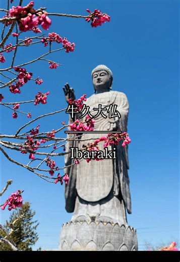 牛久大仏：世界最大のブロンズ立像
