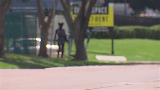 'Transformational change' | Statistics show decrease in crime along Bissonnet Track