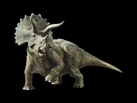 Triceratops Sound Effects (Ver. 3)