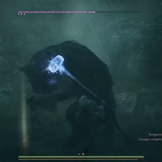 I think the jaw is broken in Dragons Dogma 2