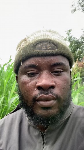 Outdoor Grass Maintenance Techniques for Beginners