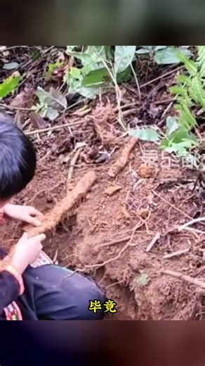 #紀錄片 #紀錄片解說 #尖貨星期天 #纪录片 #纪录片解说 #游牧民族 #伊朗 #二手车