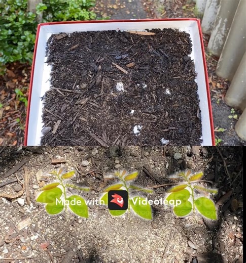 How Synaptic Plasticity Strengthens Memory Connections