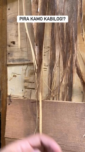 7 kabilog pero dili ka silhig patalibod! Haha #couplecomedycoupl #reelschallengereelschallenge #funnyreelsvideo #contentcreator #couplecomedy #trendingreelsvideo @highlight JohnJayco Arguilles Cabalhug Lourdes A. Amante Randy Alto Amante | Niña Mae AltarejosAmante Cabalhug