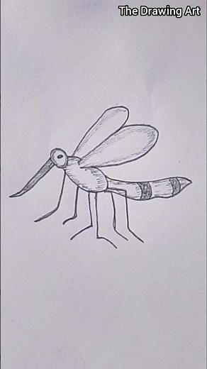 How to Draw Mosquito Easily ! step by step #easydrawing