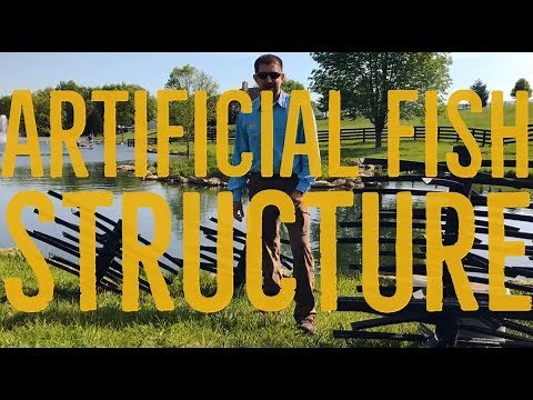 Installing Artificial Fish Structure