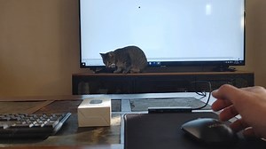 Watch VicTsing Bluetooth Wireless Mouse on Amazon Live