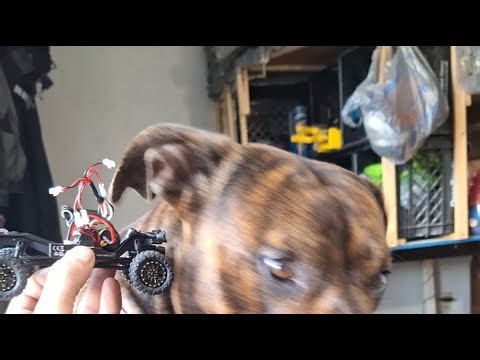 Bucketlist R/C is live! Scx30 Micro Modness Break. Bucky time.