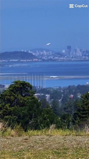 #BIRDS of STEEL, in the Bay Area, CA.🛫🛫