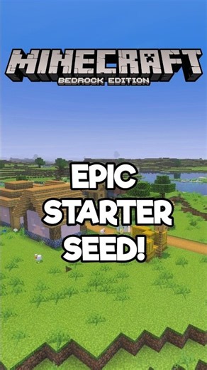 EPIC STARTER SEED FOR MINECRAFT BEDROCK!
