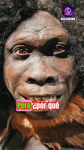 Hace cuatro millones de años, los Australopithecus llegaron para cambiarlo todo. Su inteligencia les llevó a usar herramientas de piedra, facilitando sus vidas y marcando un antes y un después en nuestra historia. Descubre cómo lo hicieron. #Australopithecus #Historia #Evolución #HerramientasDePiedra #Hominina | LaSoluzion