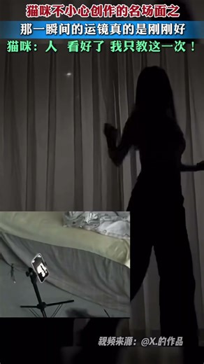 猫咪不小心导致的名场面| Cat fails gone viral #funny #cat #shorts #dance #music