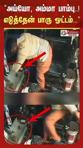 அய்யோ, அம்மா பாம்பு..! எடுத்தேன் பாரு ஓட்டம்... பாம்பை கண்டதும் தெறித்து ஓடிய ஓட்டுநர்...