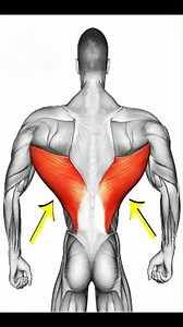 BEST BACK WORKOUT TO BUILD SIZE AND STRENGTH | TARGETS LOWER BACK – MIDDLE BACK – UPPER BACK FOR COMPLETE BACK DEVELOPMENT. #ironpulse #Fitness #7 #us #dailyworkoutchallenge #howtobuildmusclewithoutbulking | Wait and Watch