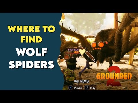 Where to find Wolf Spiders - Locations Guide | Grounded 2