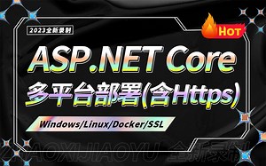 2023最新ASP.NET Core多平台部署教程(含https证书)，windows、linux、docker多环境(SSL/SqlServer)B1116