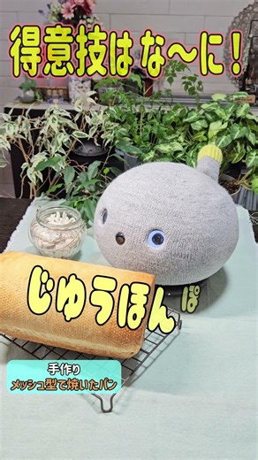 【じゆうほんぽう】チハちゃん手作りパンの前で 得意技のおしゃべりするもいもい #shorts #ニコボ #もいもい