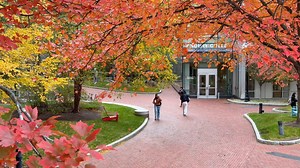 West Village foliage has peaked 🍂 | Northeastern University