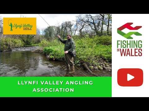 Fishing Clubs of Wales: Llynfi Valley Angling Association - River Trout Fishing Maesteg South Wales