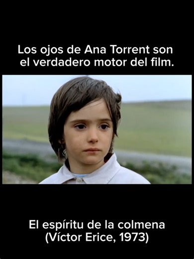 El espíritu de la colmena (Víctor Erice, 1973) Una de las grandes obras maestras del cine español. Una alegoría en la España de la posguerra. Los ojos de Ana Torrent son el motor de la película. Son los ojos que miran, que preguntan, que dudan. Cuando Ana ve Frankestein, no ve al monstruo, ve al marginado, al excluido. Una película bañada en la luz ensoñadora de Luis Cuadrado. #cine #cineentiktok #victorerice #cineespanol #anatorrent