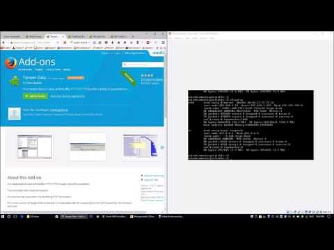 Firefox Access Addons (Cybersecurity)