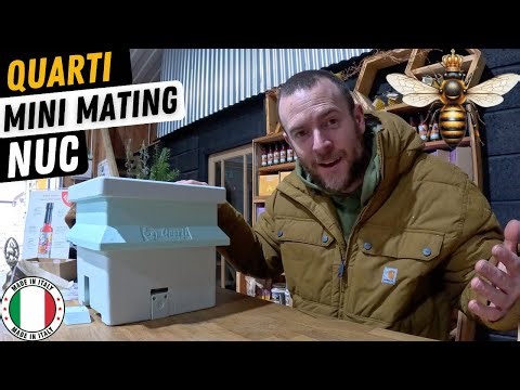 Quarti Queen Mating Nuc Review: The Best Mini Hive for Queen Rearing?