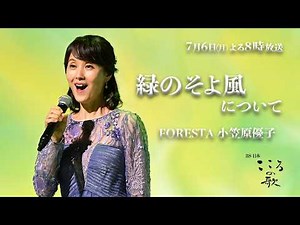 ♪ Midori no Soyokaze: Yuko Ogasawara of FORESTA Explains Its Charm!