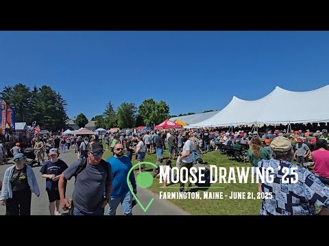 Maine Moose Drawing 2025
