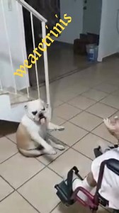 23K views · 156 reactions | Just plain old fun | We Are Trinis | Facebook