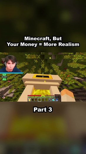 Minecraft, But Your Money = More Realism