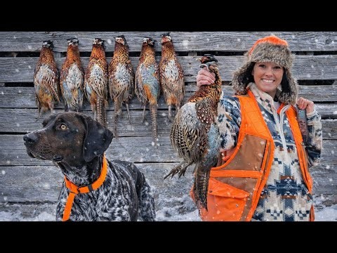 Epic Pheasant Hunt In Snow Covered Farm Fields With Bird Dogs | Midwest Upland Hunting