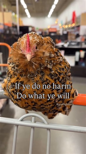 Sophie Goldie ☀️ (Hilaire) | I discovered the fastest way to find a Home Depot employee to help you. They were popping out of every corner saying “I heard there’s a... | Instagram